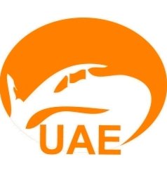 الشحن الجوي